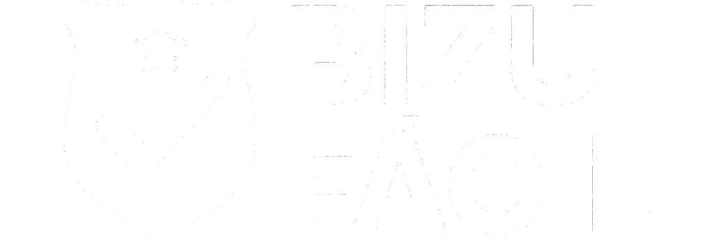 Logo Bizu Fácil
